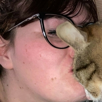 kittykatastrophy69 Çıplak